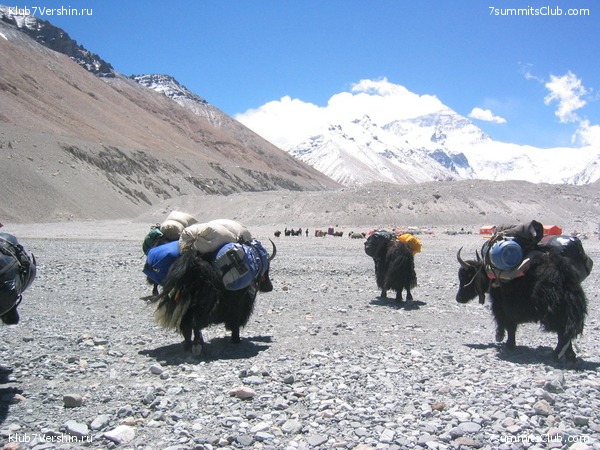 Everest 2004, photo 33