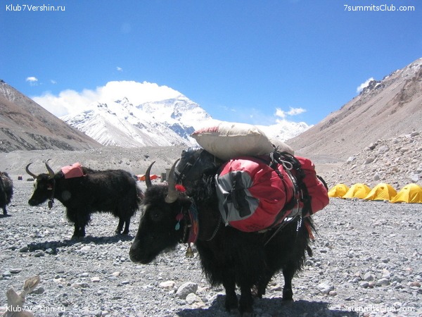 Everest 2004, photo 41