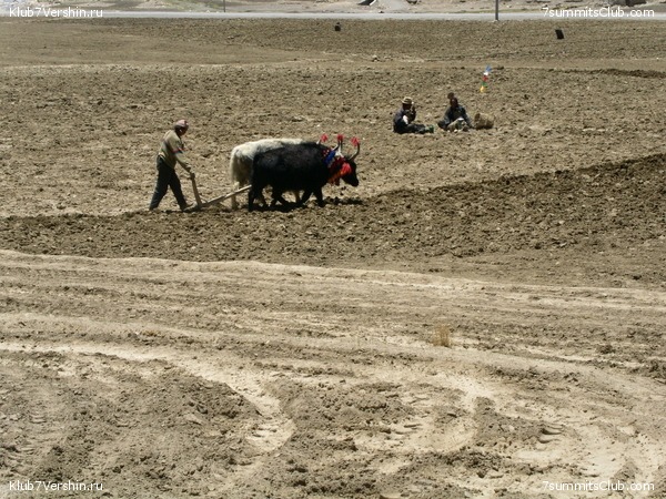 Everest 2004, photo 64