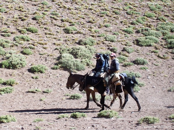 Aconcagua 2010 - Ossetian expedition, photo 42