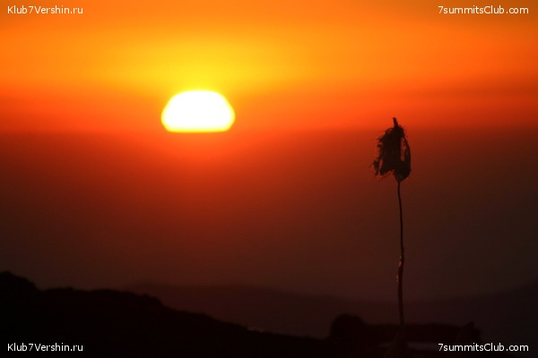 ��������� �������, photo 14