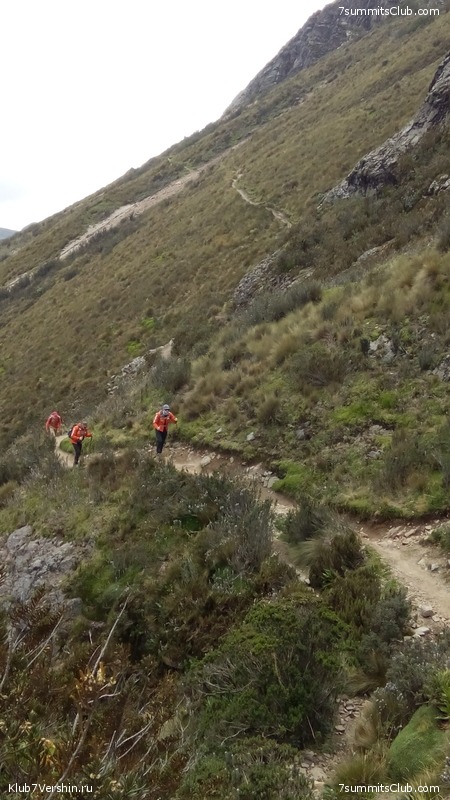 ������� - ���� - ���������. 2016, � ������� �����������, photo 14