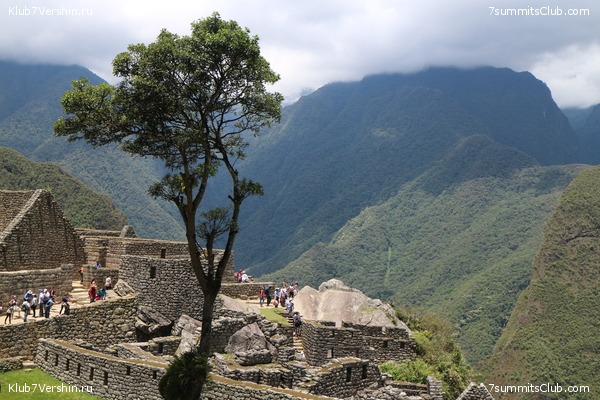 ������� - ���� - ���������. 2016, � ������� �����������, photo 10