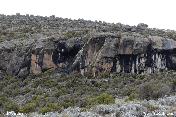 Kilimanjaro. Summary, photo 100