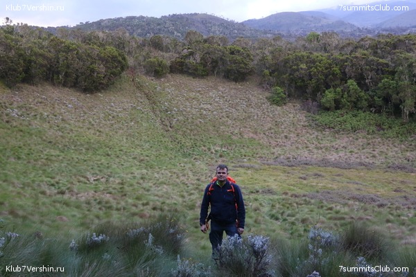 Kilimanjaro. Summary, photo 111