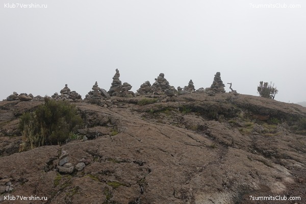 Kilimanjaro. Summary, photo 112