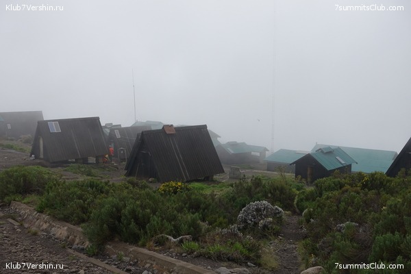 Kilimanjaro. Summary, photo 113