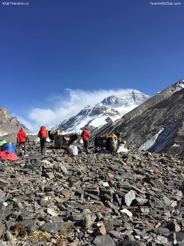 ������� 2016. ����� 2. ��������������, ������ ���, photo 122