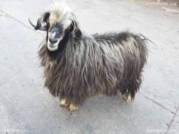 ������� 2016. ����� 2. ��������������, ������ ���, photo 56