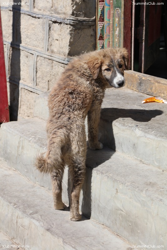 ������� 2016. ����� 2. ��������������, ������ ���, photo 149