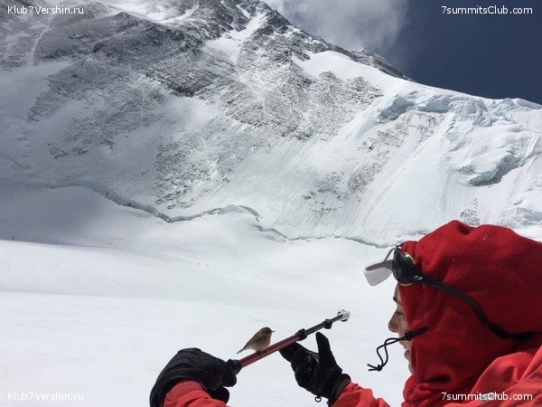 ������� 2016. ����� 2. ��������������, ������ ���, photo 93