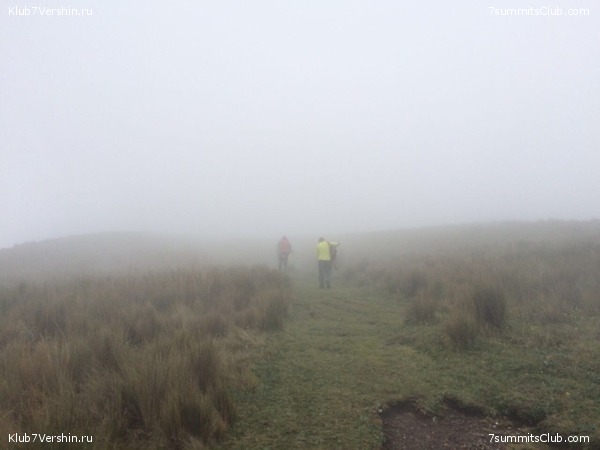 ������� 2017, photo 72