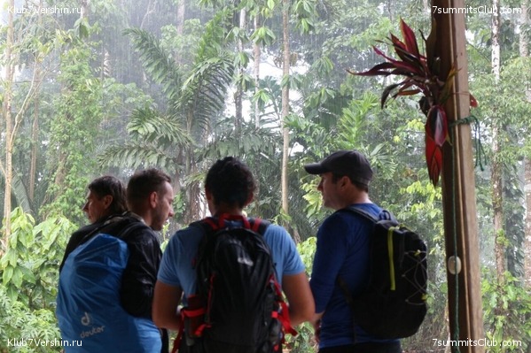 ������� 2017, photo 46