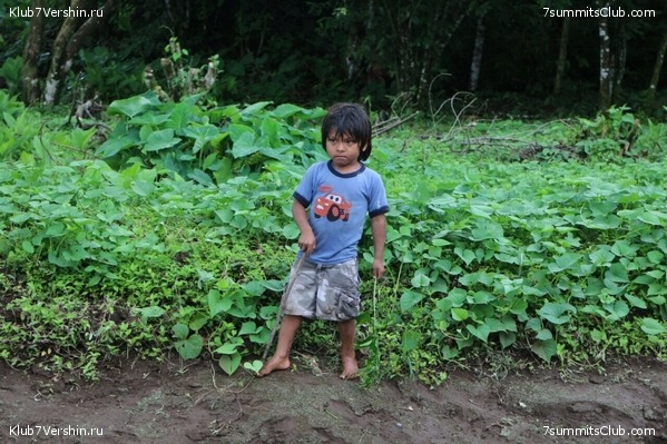 ������� 2017, photo 49