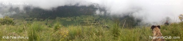 ������� 2017, photo 1