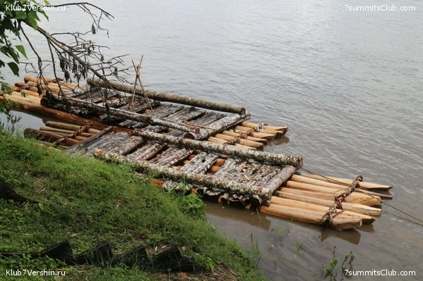 ������� 2017, photo 51