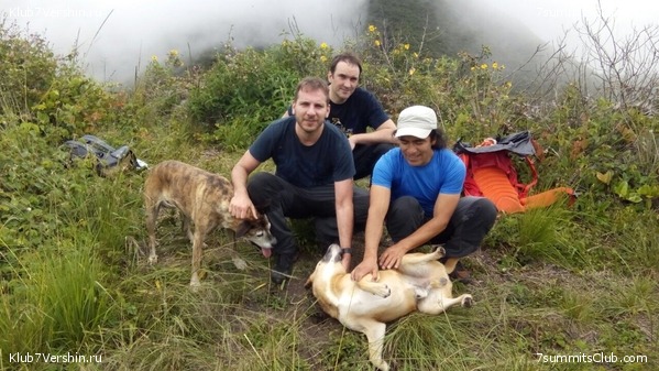 ������� 2017, photo 14