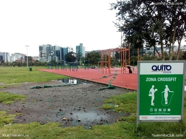 ������� 2017, photo 90