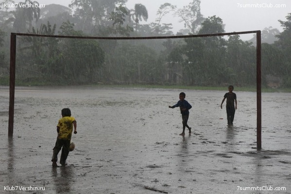 ������� 2017, photo 55