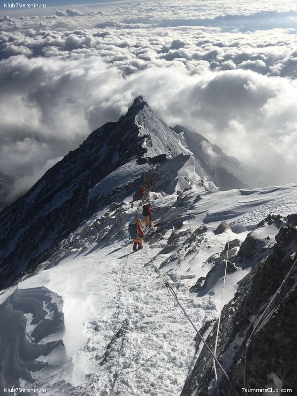 ������� 2017. �����������, photo 64