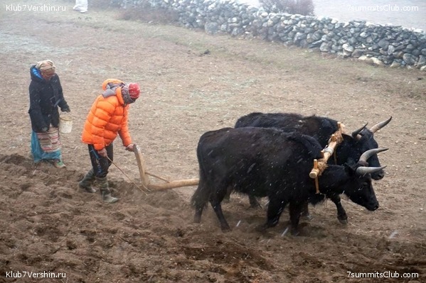 ���� �������, photo 30