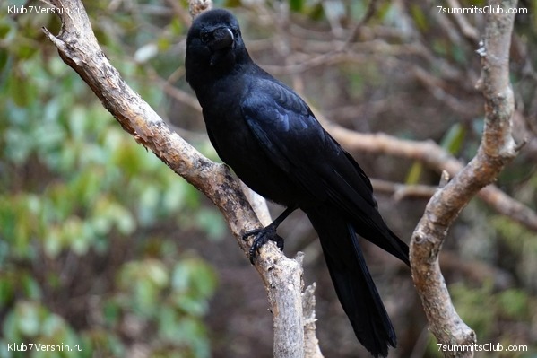 ���� �������, photo 34