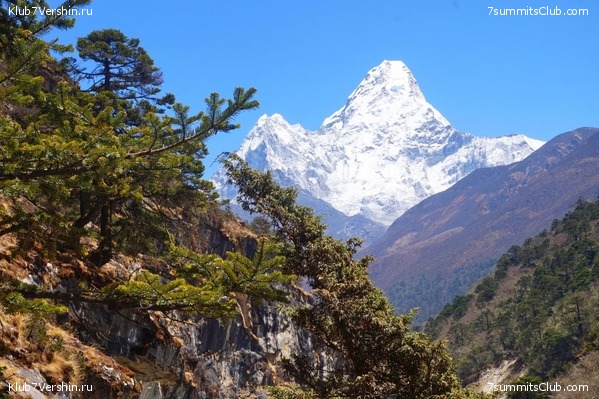 ���� �������, photo 41