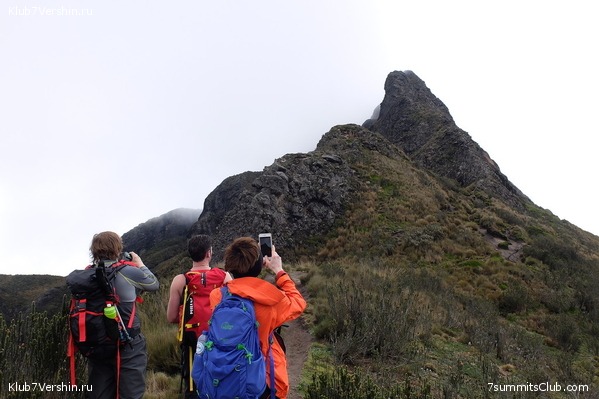 ������� 2017, photo 56