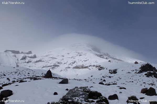 ������� 2017, photo 58