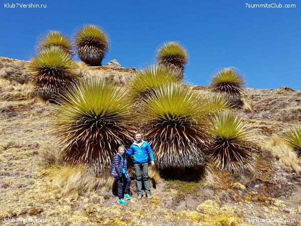 Machu Picchu, photo 43