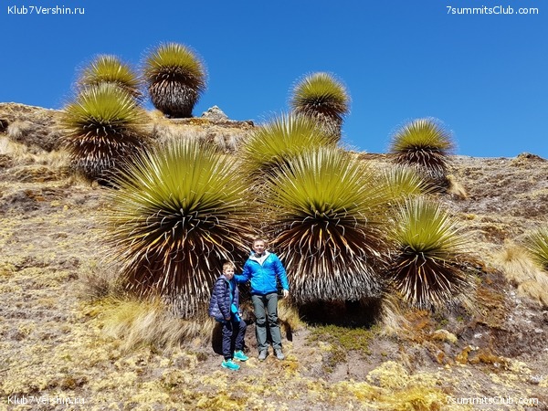 Machu Picchu, photo 49