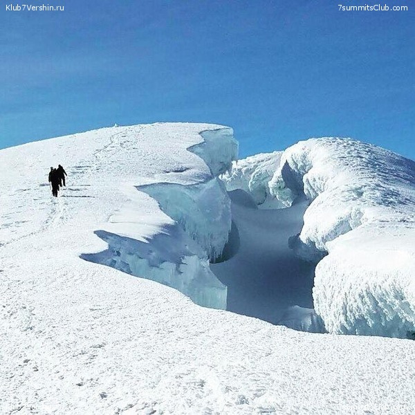 ������� 2017, photo 101