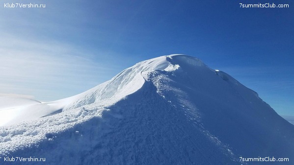 ������� 2017, photo 31