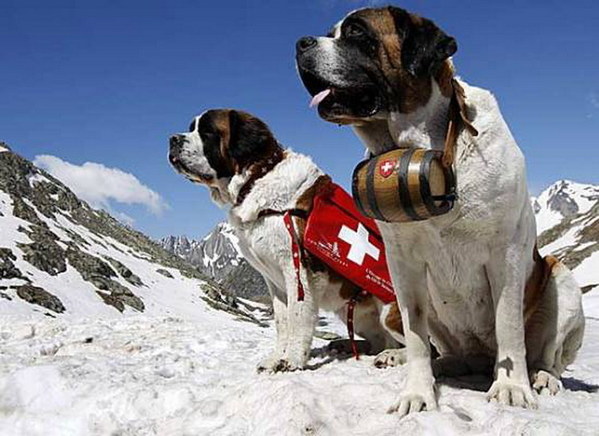 ��������� ������, photo 145