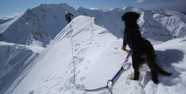 ��������� ������, photo 17