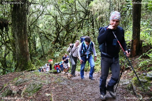 Kilimanjaro. Summary, photo 117