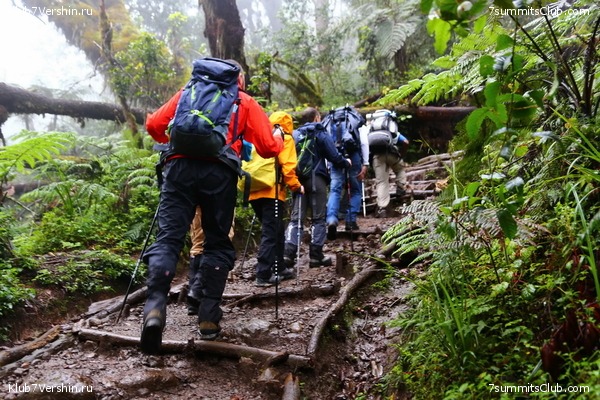 Kilimanjaro. Summary, photo 126