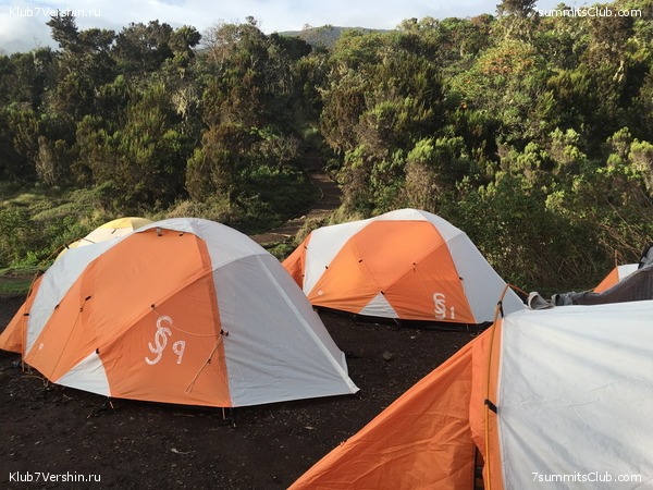 Kilimanjaro. Summary, photo 193