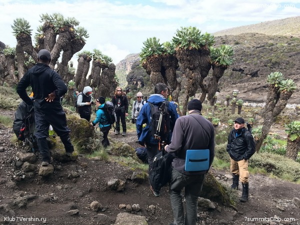 Kilimanjaro. Summary, photo 195