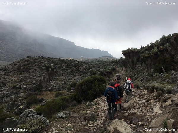 Kilimanjaro. Summary, photo 197