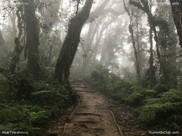 Kilimanjaro. Summary, photo 201