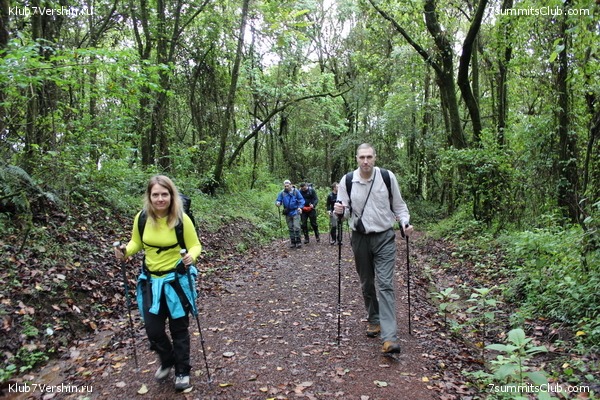 Kilimanjaro. Summary, photo 137