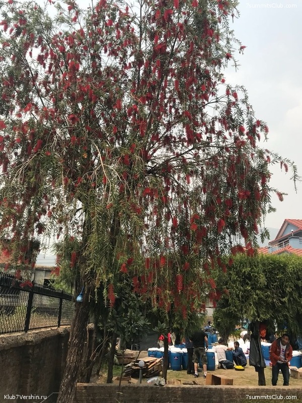 ������� 2018. ����������, photo 137