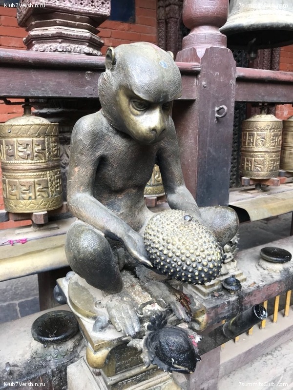 ������� 2018. ����������, photo 156