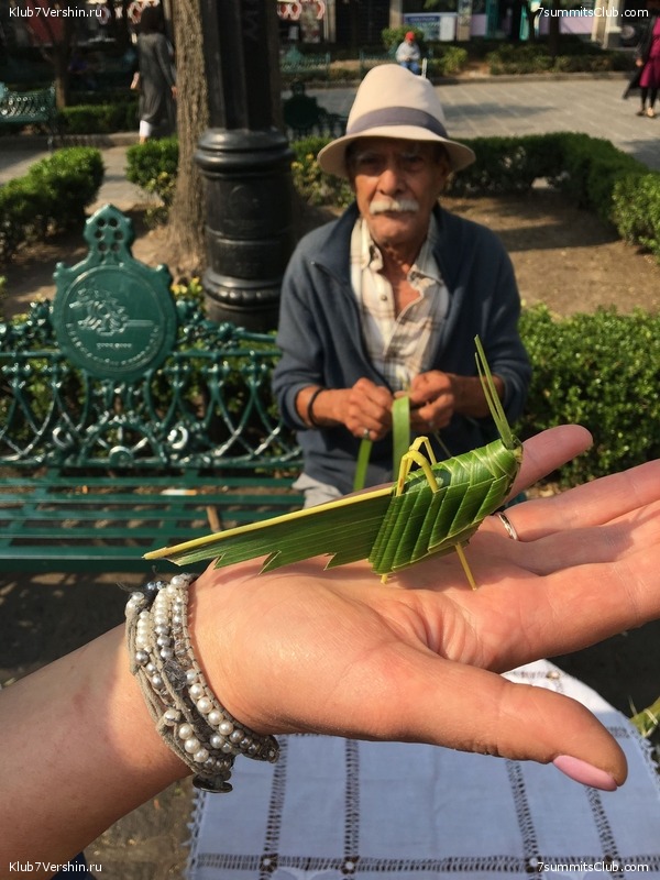 ������� 2018. ���������� ������� ��������, photo 124