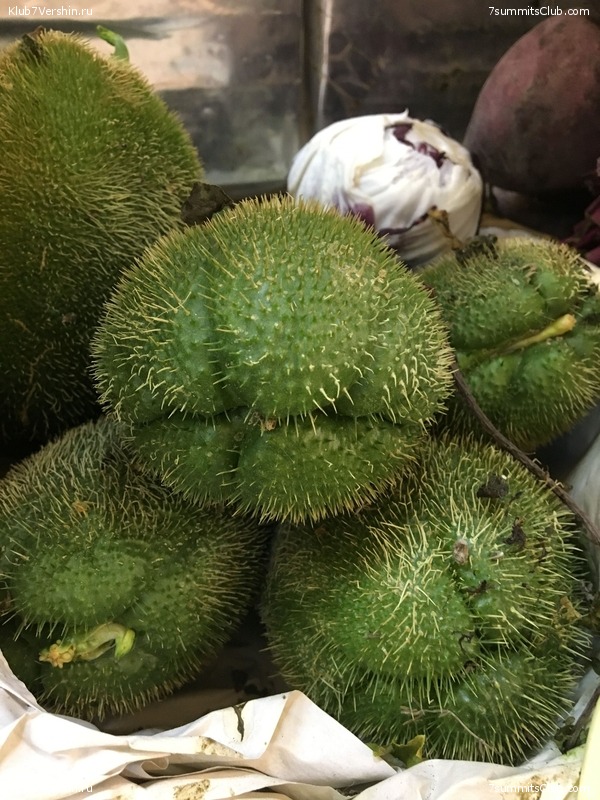 ������� 2018. ���������� ������� ��������, photo 127