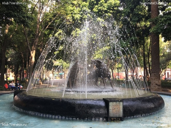 ������� 2018. ���������� ������� ��������, photo 7