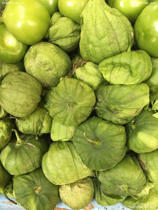 ������� 2018. ���������� ������� ��������, photo 132