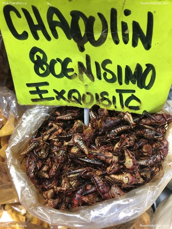 ������� 2018. ���������� ������� ��������, photo 134