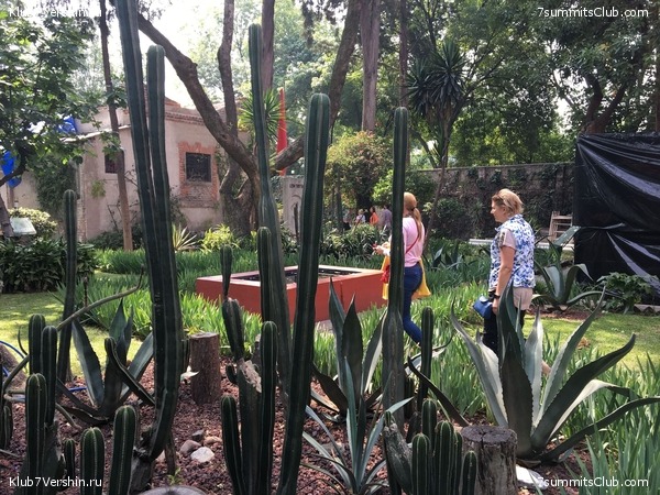 ������� 2018. ���������� ������� ��������, photo 10